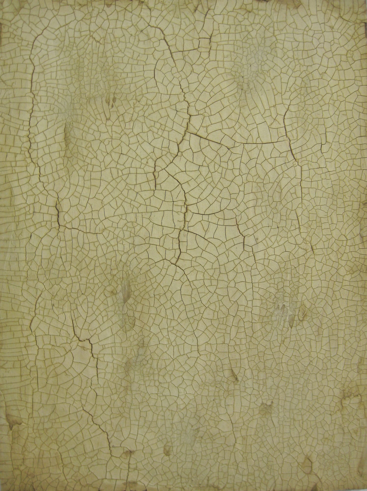 Andrew Falkowksi and Jason Loebs