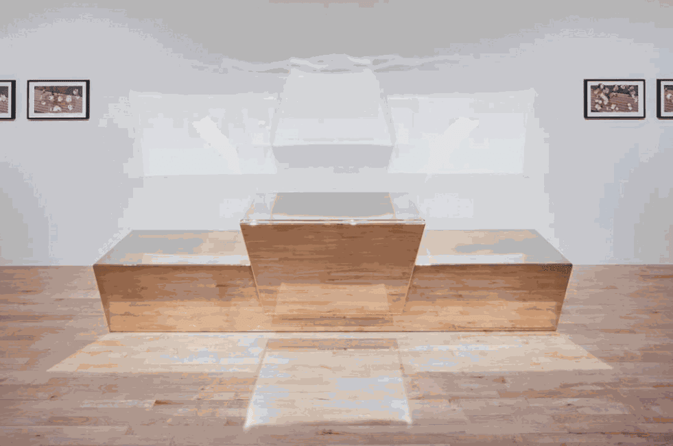 Glenn Kaino, With Arms Drawn: Glenn Kaino and Tommie Smith