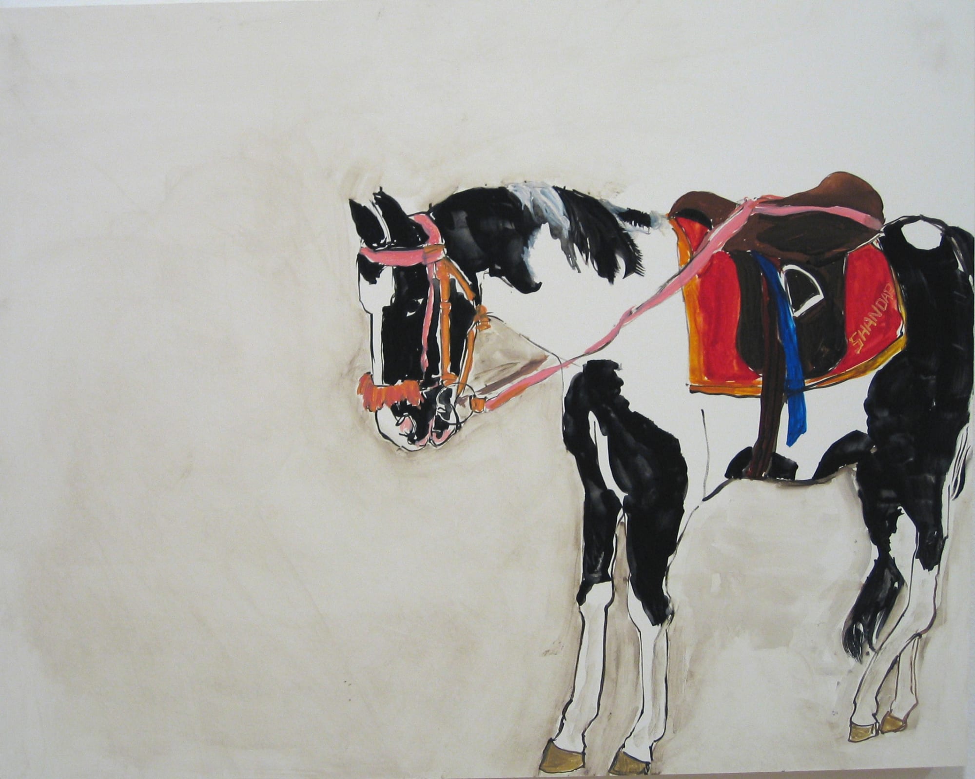 India: Two Views, Danica Phelps & Debi Ray-Chaudhuri