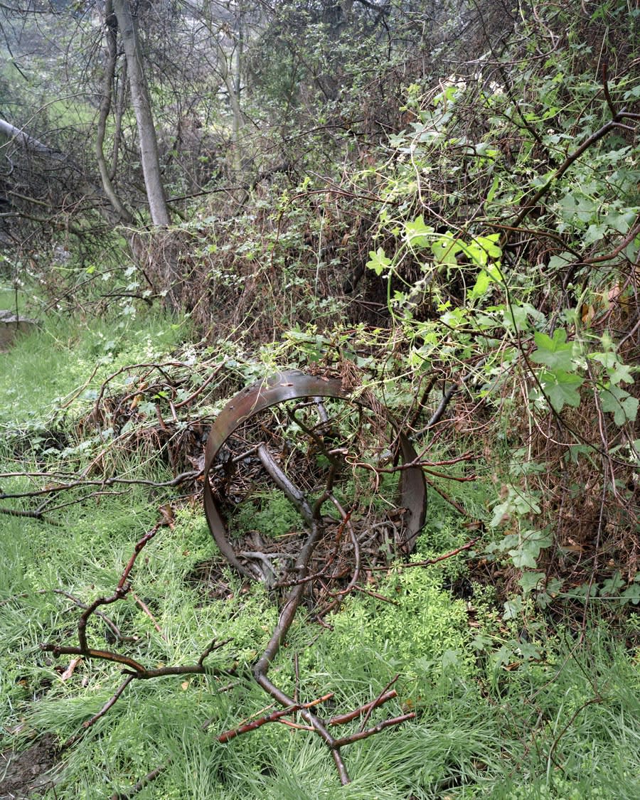 Melanie Schiff, The Mirror