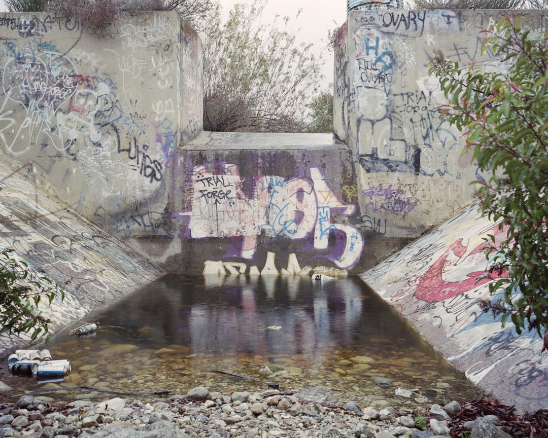 Melanie Schiff, The Mirror