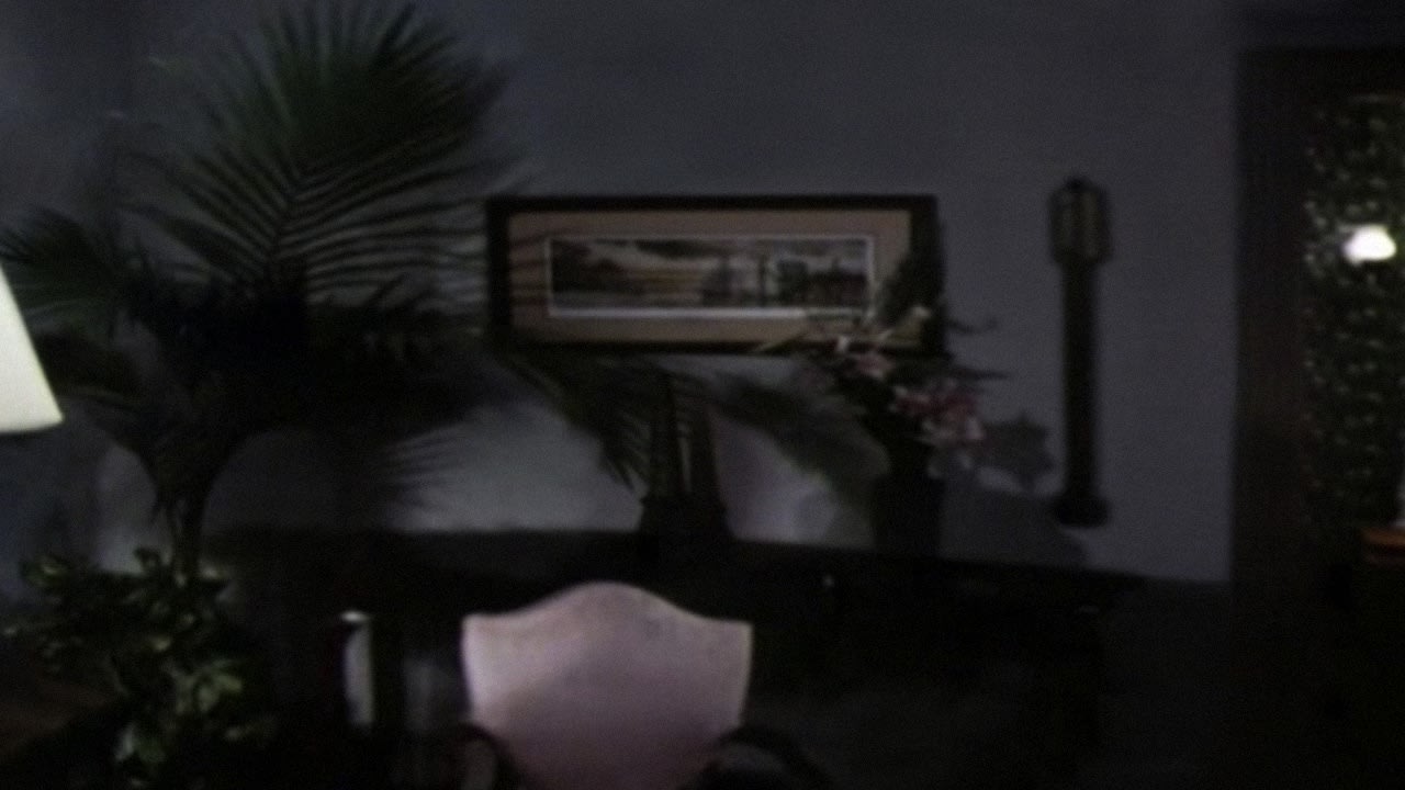 Josh Azzarella, Untitled #100 (Fantasia)