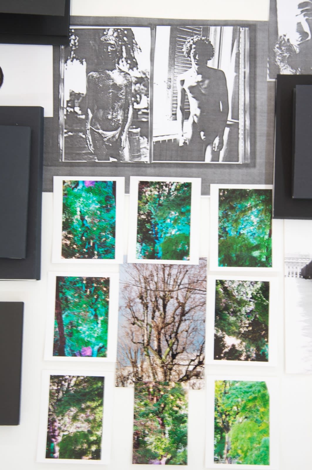 Scott Treleaven, Your Shadow at morning striding behind you or your shadow at evening rising to meet you