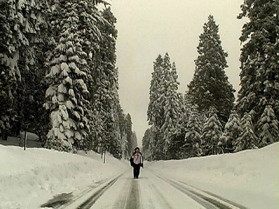 Julian Hoeber "Kiss" (lurid) (2007) TRT 18:58