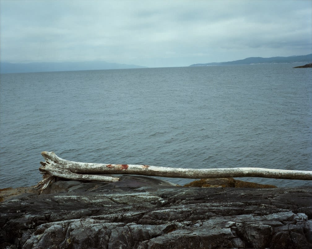 Melanie Schiff, Sun Land