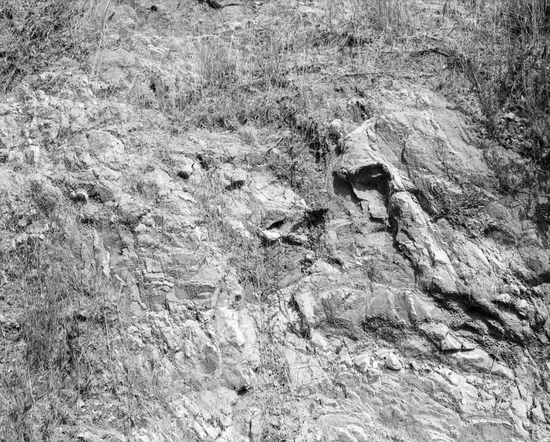 Melanie Schiff, Sun Land