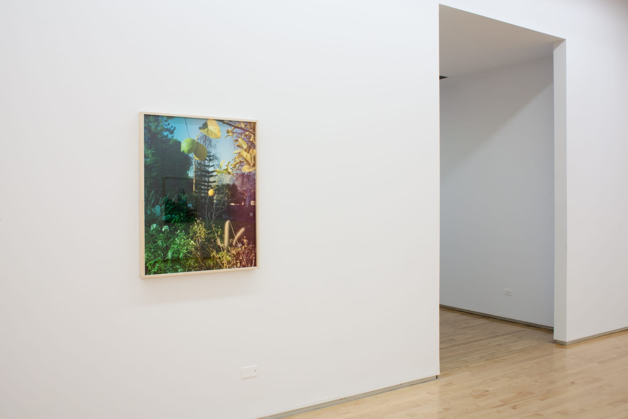 Melanie Schiff, Sun Land