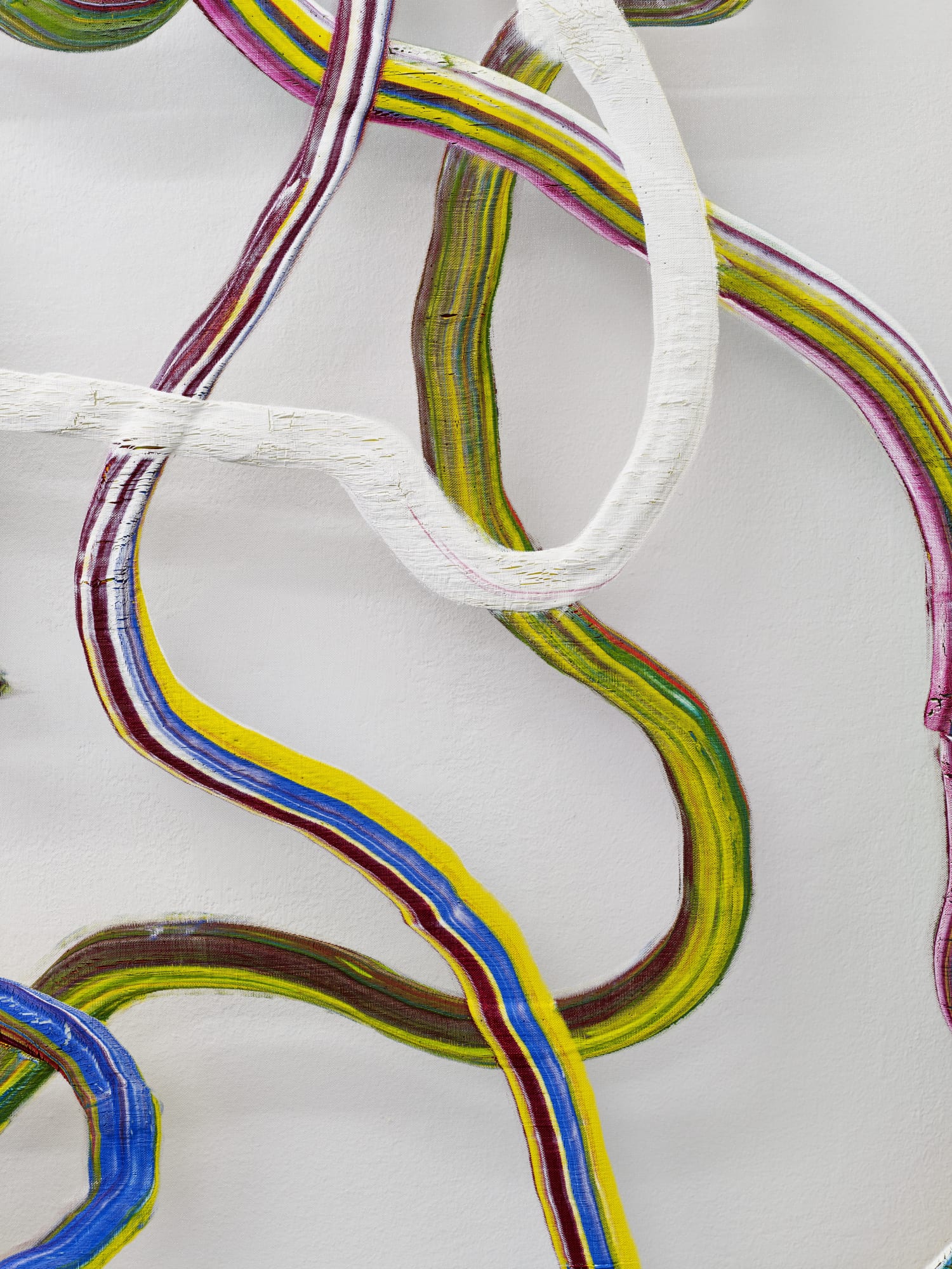 Nathan Baker, Participate