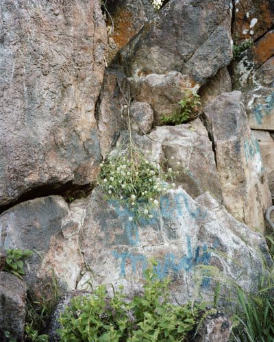 Drying Rock 2010 digital C-Print 40 x 30in (102 x 76.2cm)