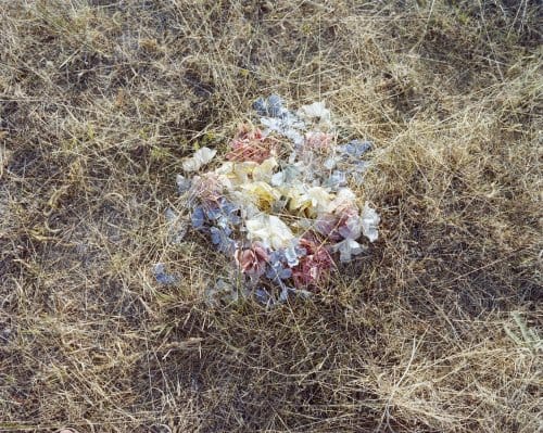 Flowers II 2010 digital C-Print 24x30in (61x76.2cm)