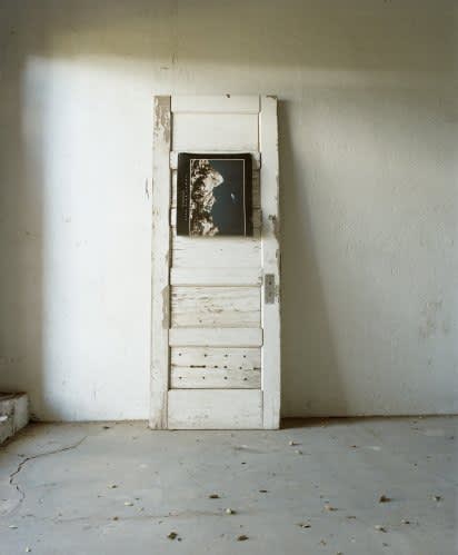 Hailey's Comet 2010 digital C-Print 40 x 30in (102 x 76.2cm)