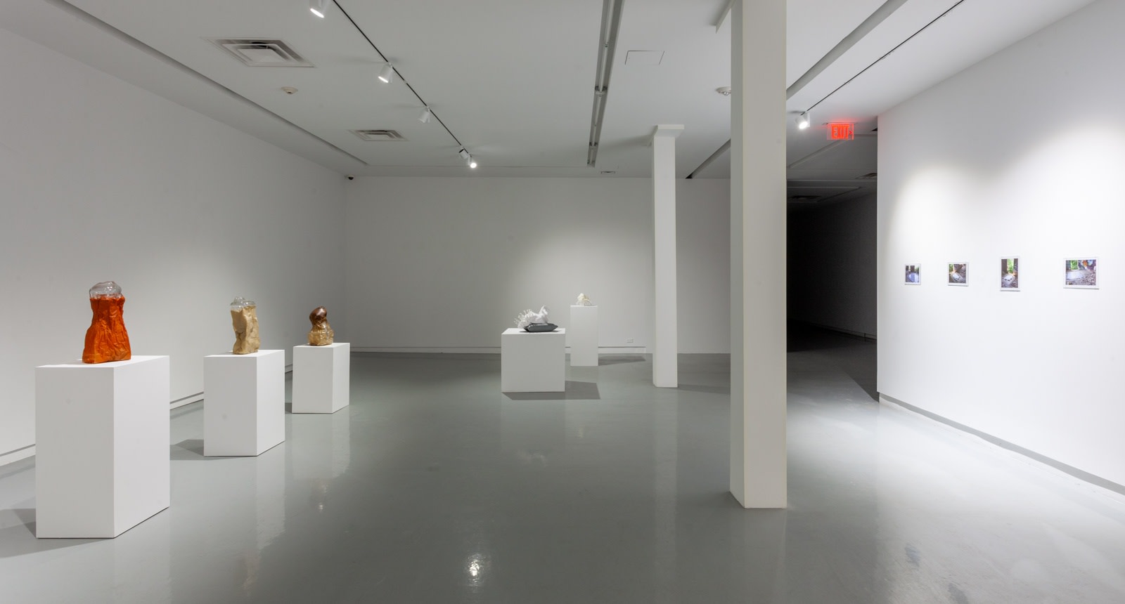 Michael Joo, Sensory Meridian