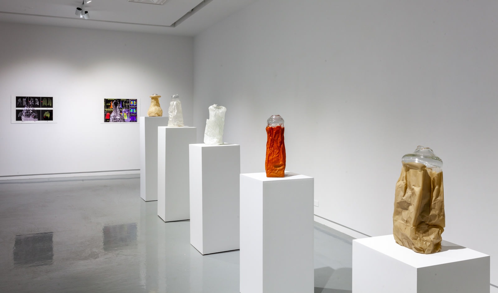 Michael Joo, Sensory Meridian