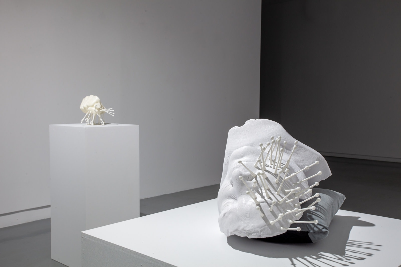 Michael Joo, Sensory Meridian