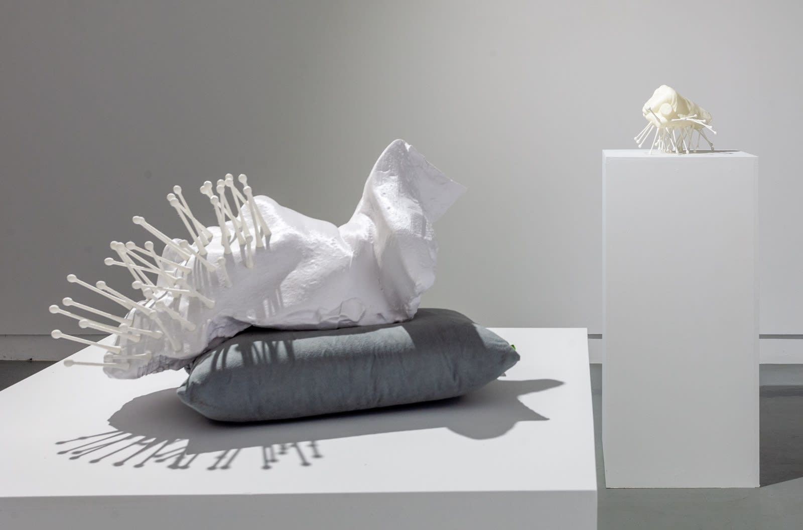 Michael Joo, Sensory Meridian