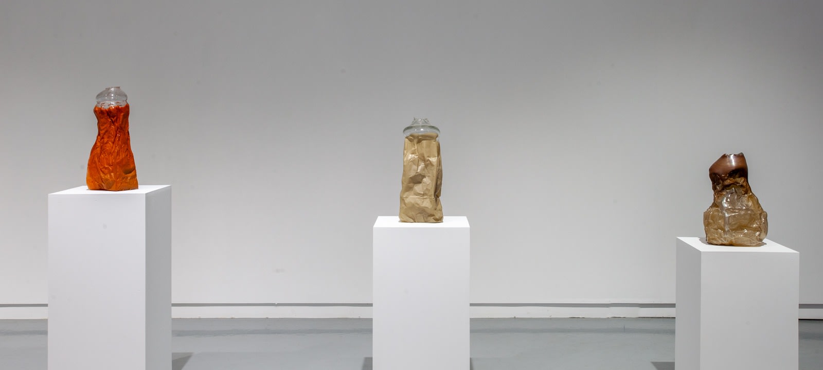 Michael Joo, Sensory Meridian