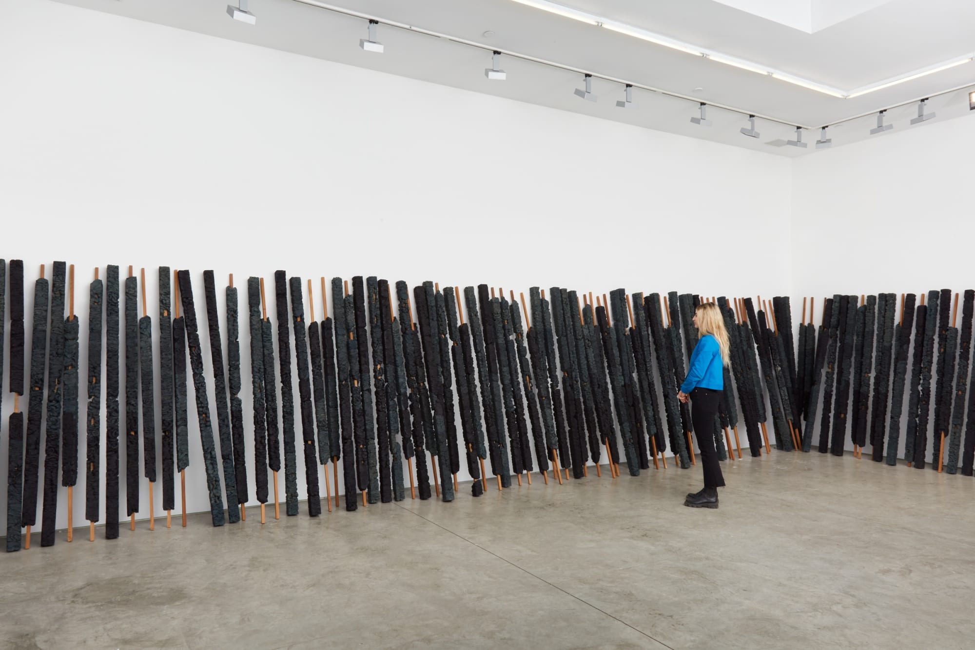 Manish Nai, Form and Void