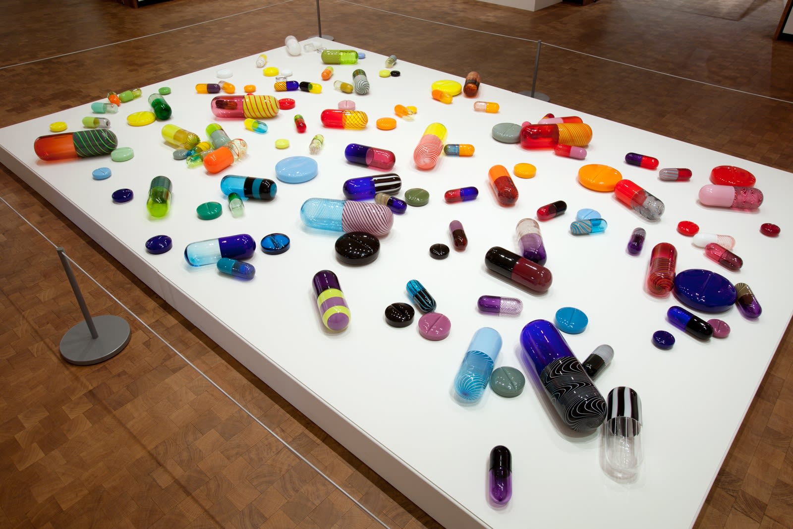 Beverly Fishman: In Sickness and In Health, Installation View, Chrysler Museum of Art, 2015-2016