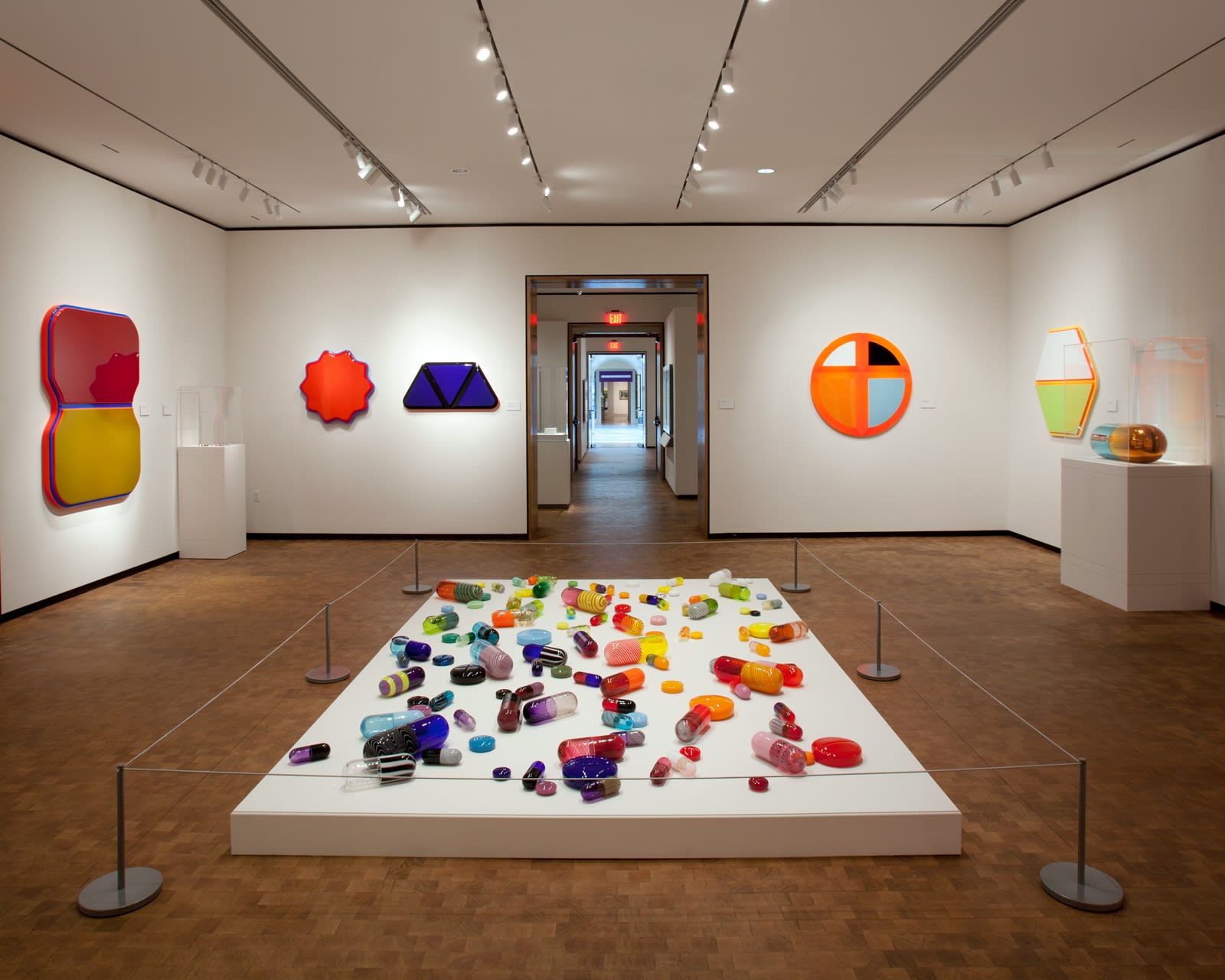 Beverly Fishman: In Sickness and In Health, Installation View, Chrysler Museum of Art, 2015-2016