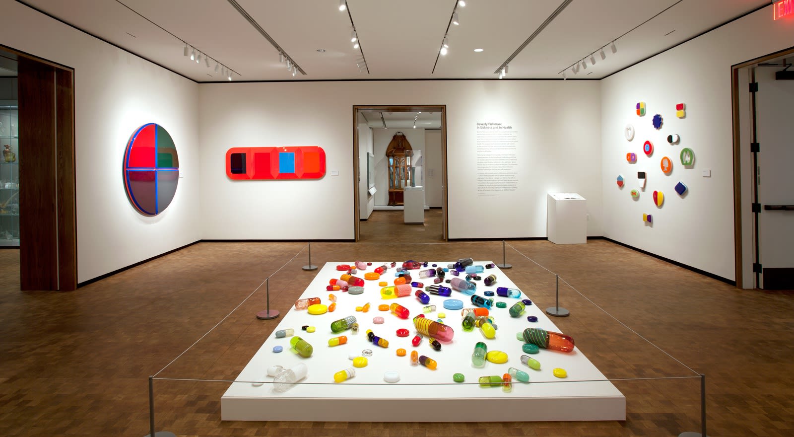 Beverly Fishman: In Sickness and In Health, Installation View, Chrysler Museum of Art, 2015-2016