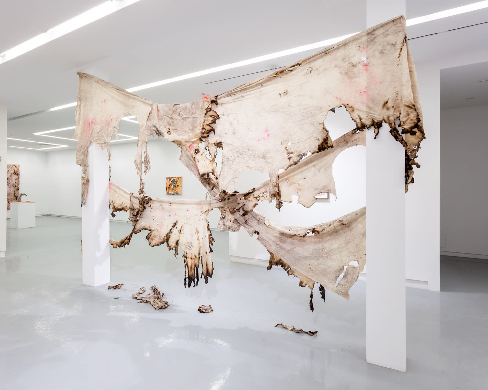 Manuel Mathieu, Negroland: A Landscape of Desires