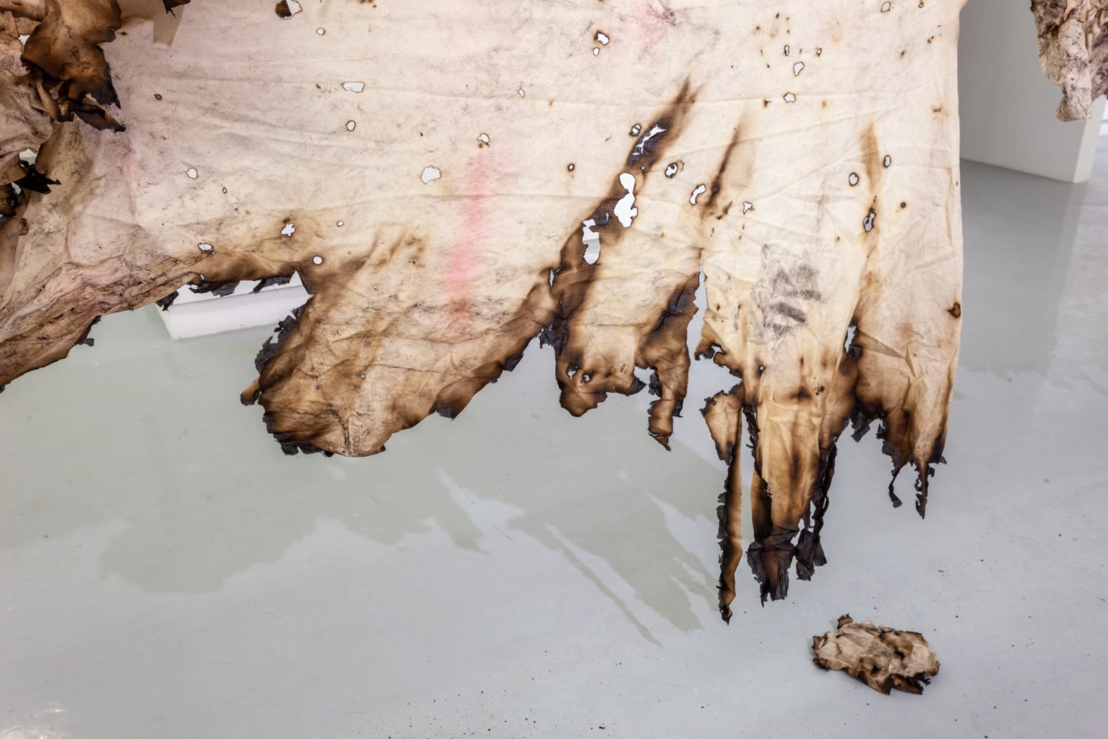 Manuel Mathieu, Negroland: A Landscape of Desires