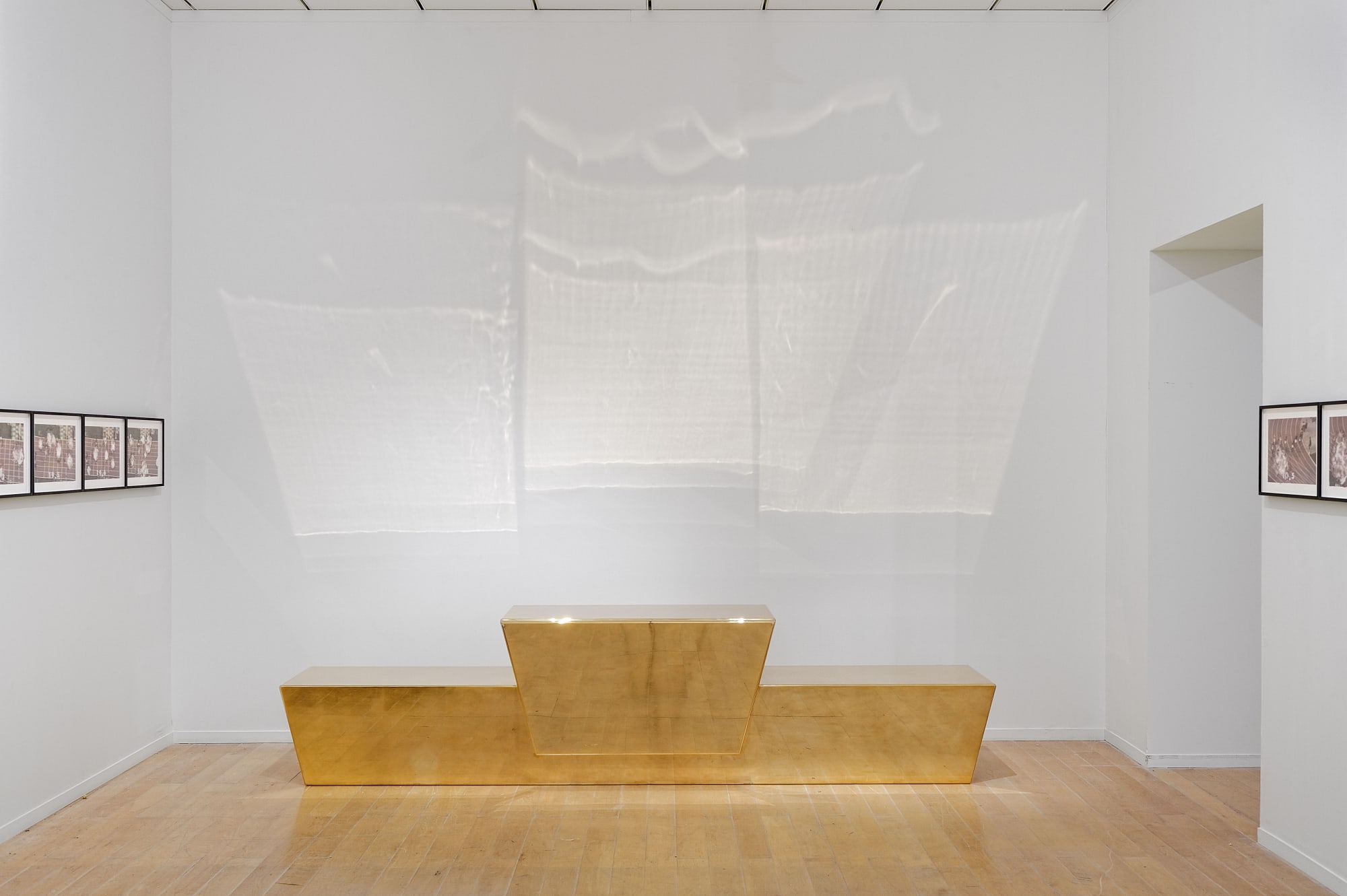 Glenn Kaino at the 12th Lyon Biennial