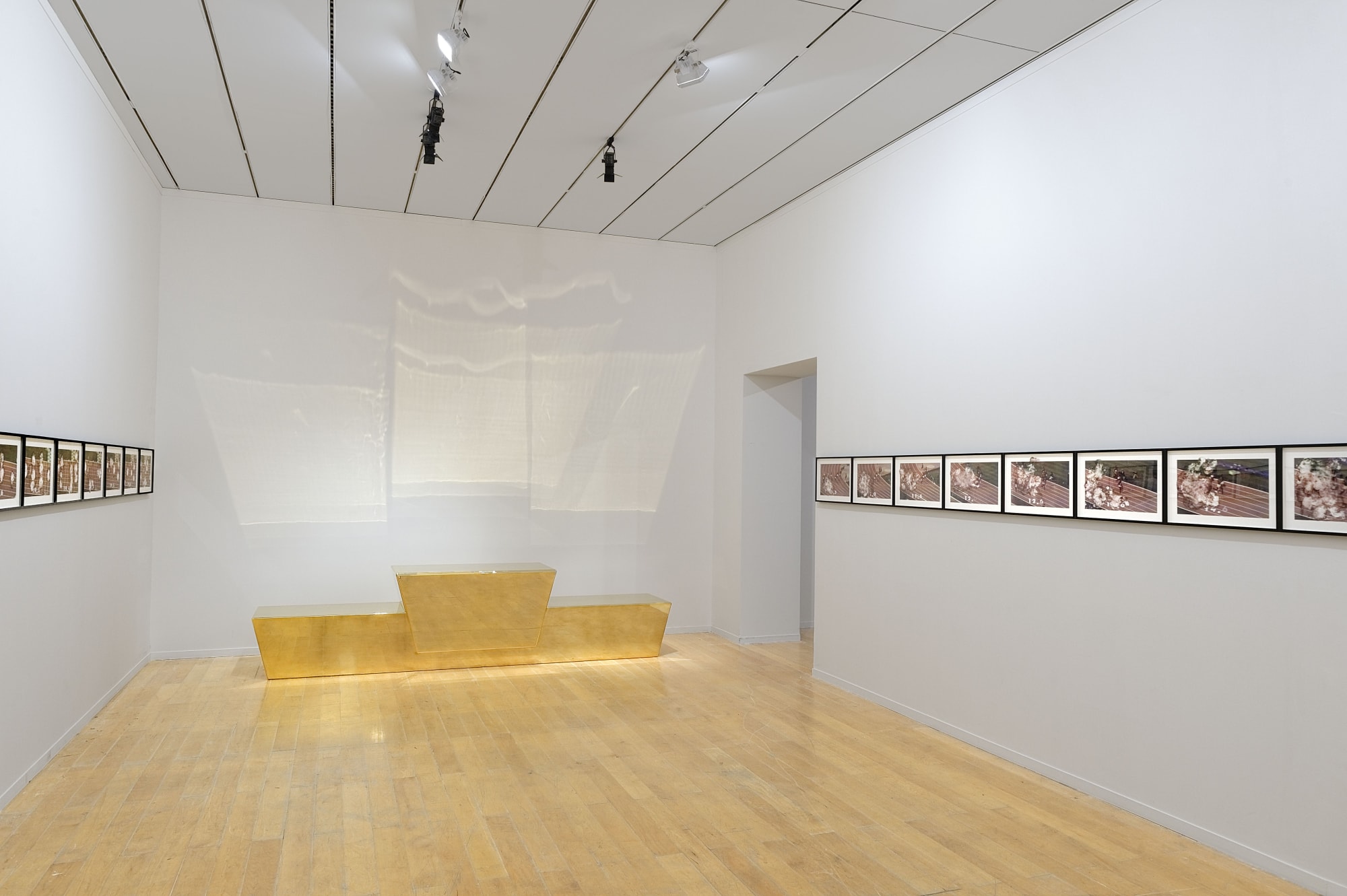 Glenn Kaino at the 12th Lyon Biennial