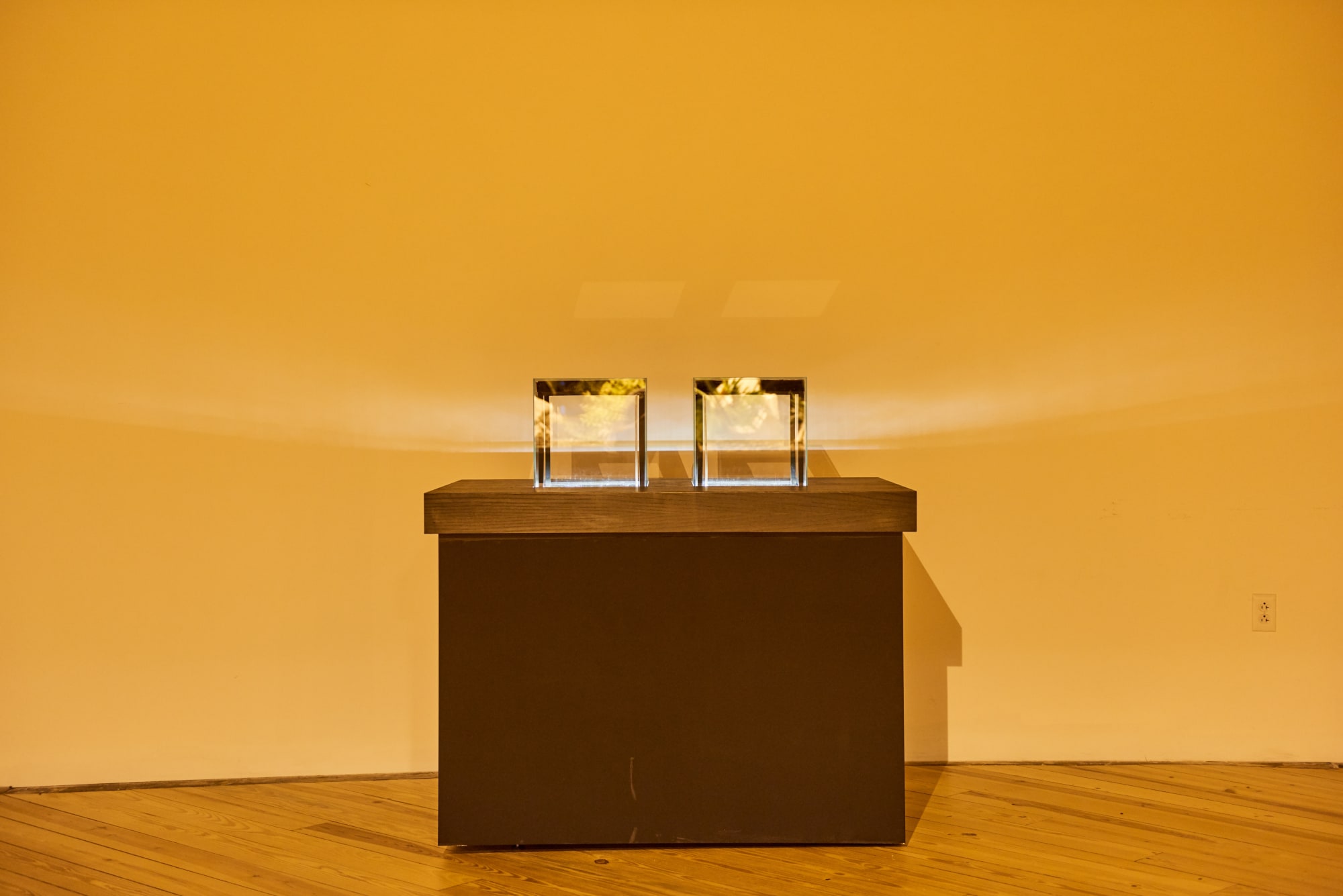 Glenn Kaino, In the Light of a Shadow