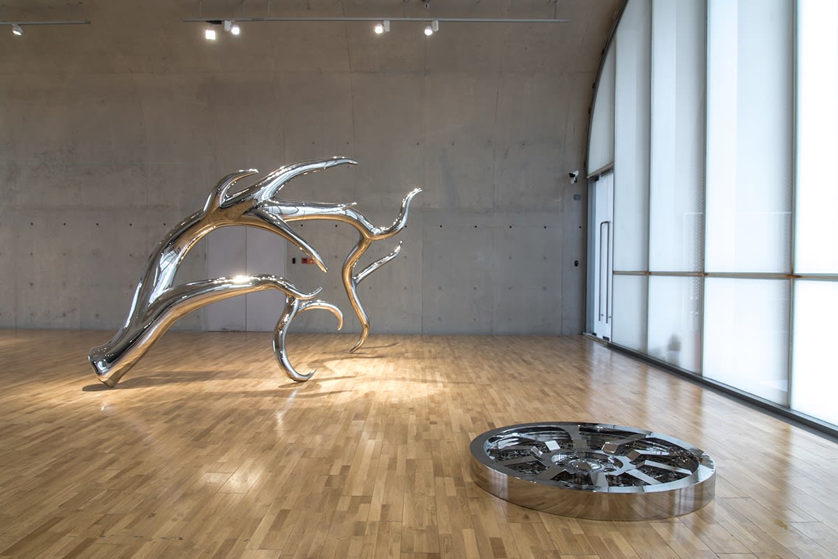 Tomokazu Matsuyama, Accountable Nature