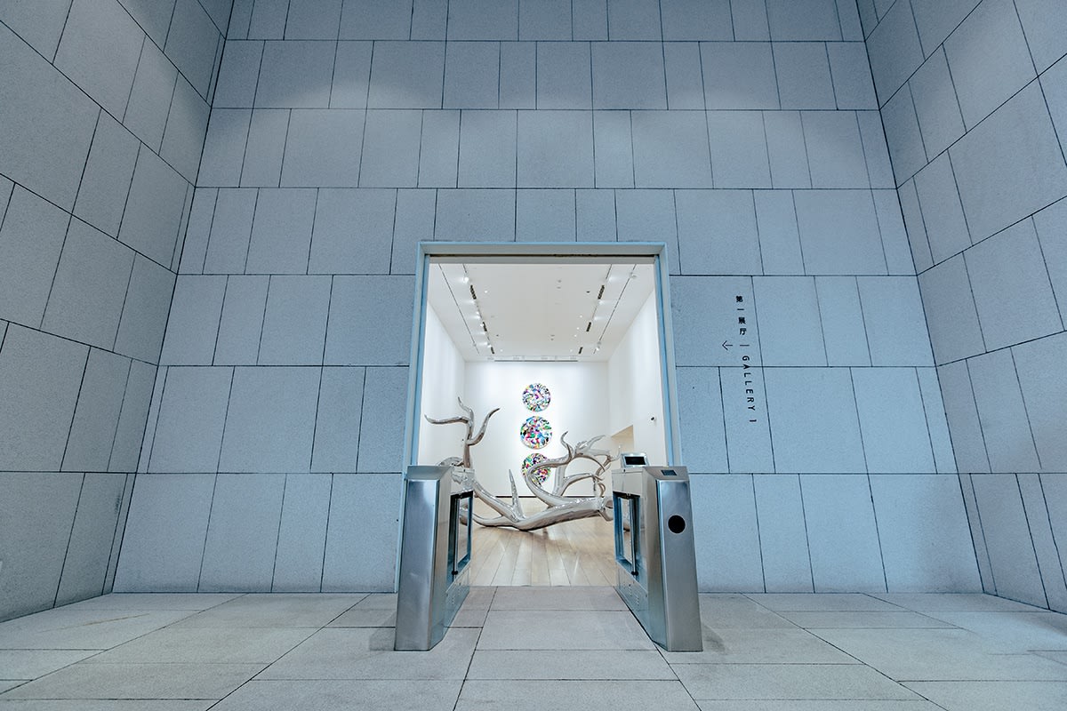 Tomokazu Matsuyama, Accountable Nature