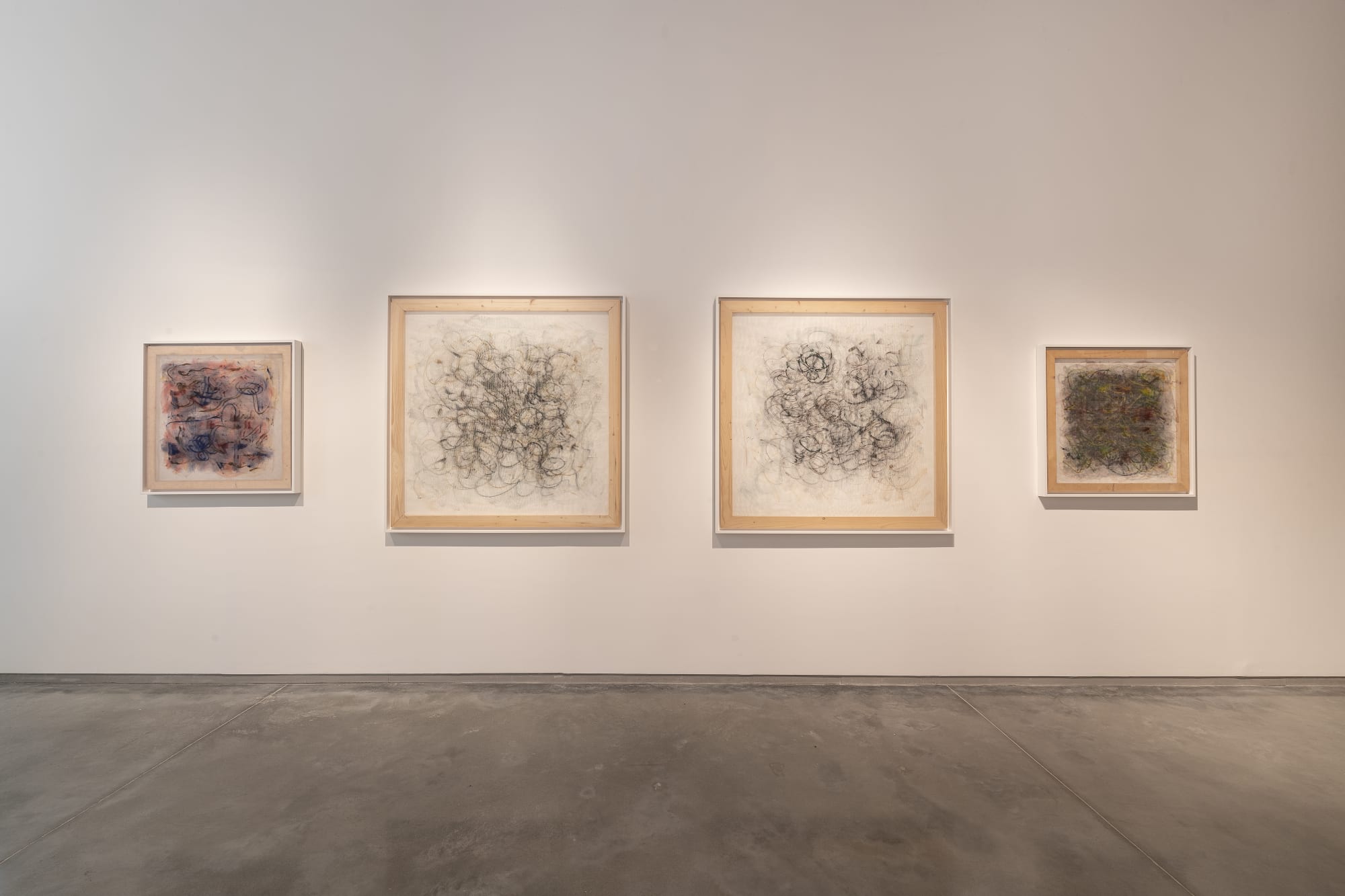 Manish Nai, Regenerative Visions