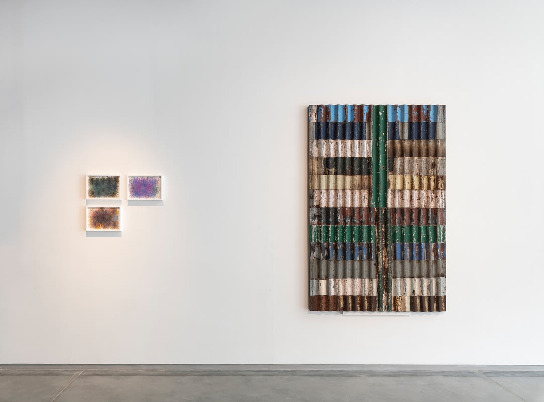 Manish Nai, Regenerative Visions