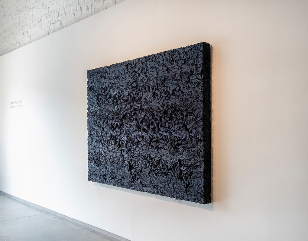 Manish Nai, Regenerative Visions