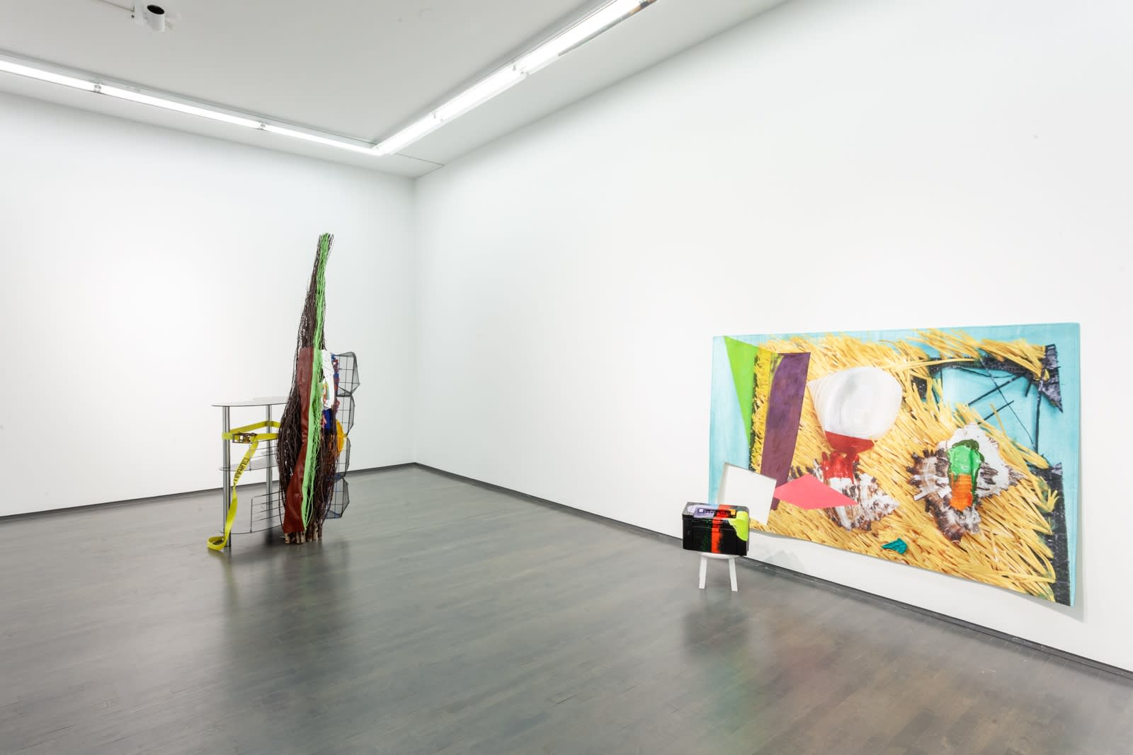 Jessica Stockholder, Specific Shapes [Extended]