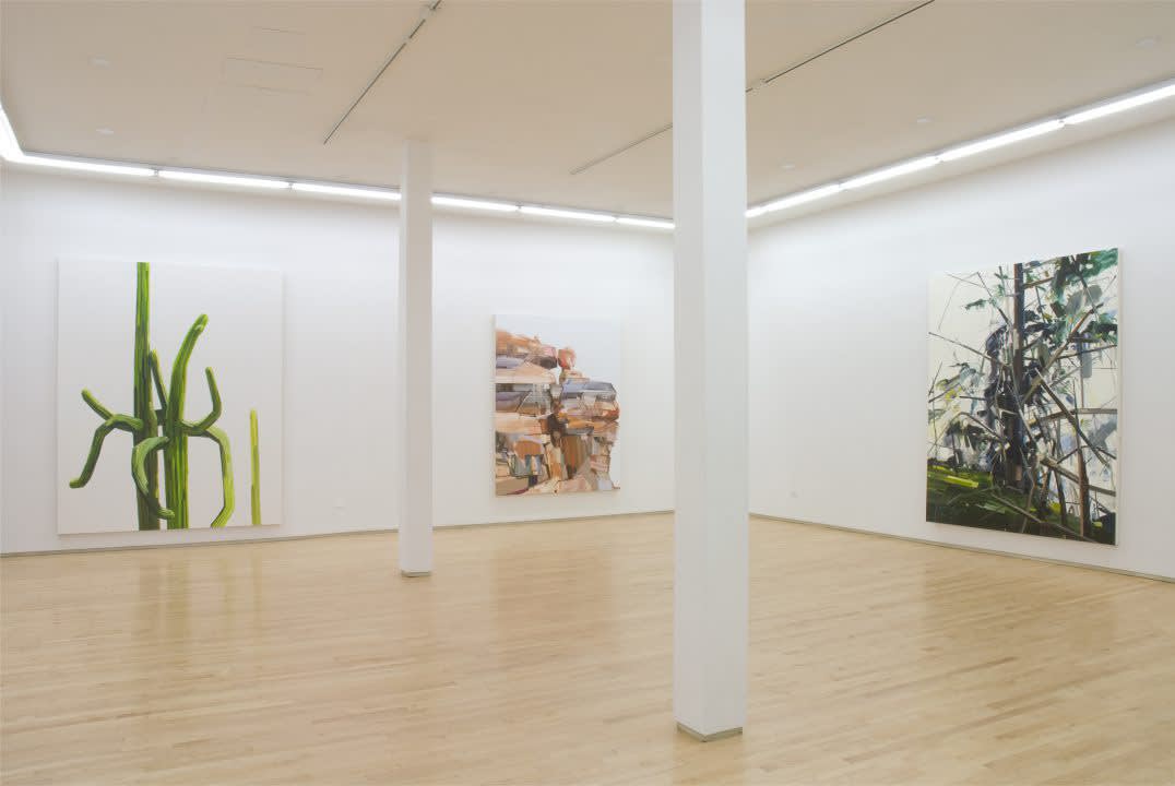 Claire Sherman, Palms Wild