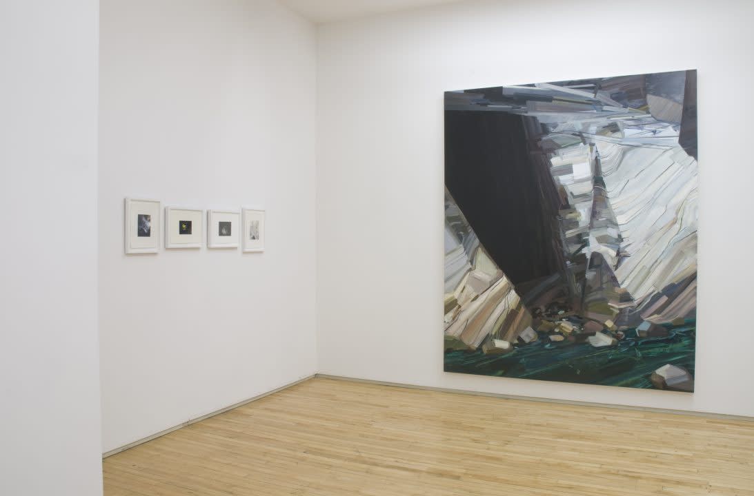 Claire Sherman, Palms Wild