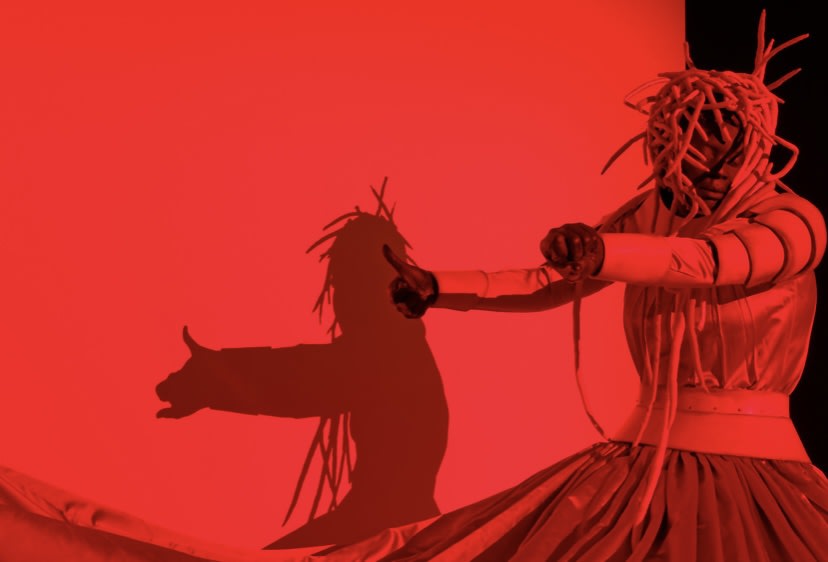 Installation view, Mary Sibande, The Red Ventriloquist, 2022. Courtesy of the MacLYON.