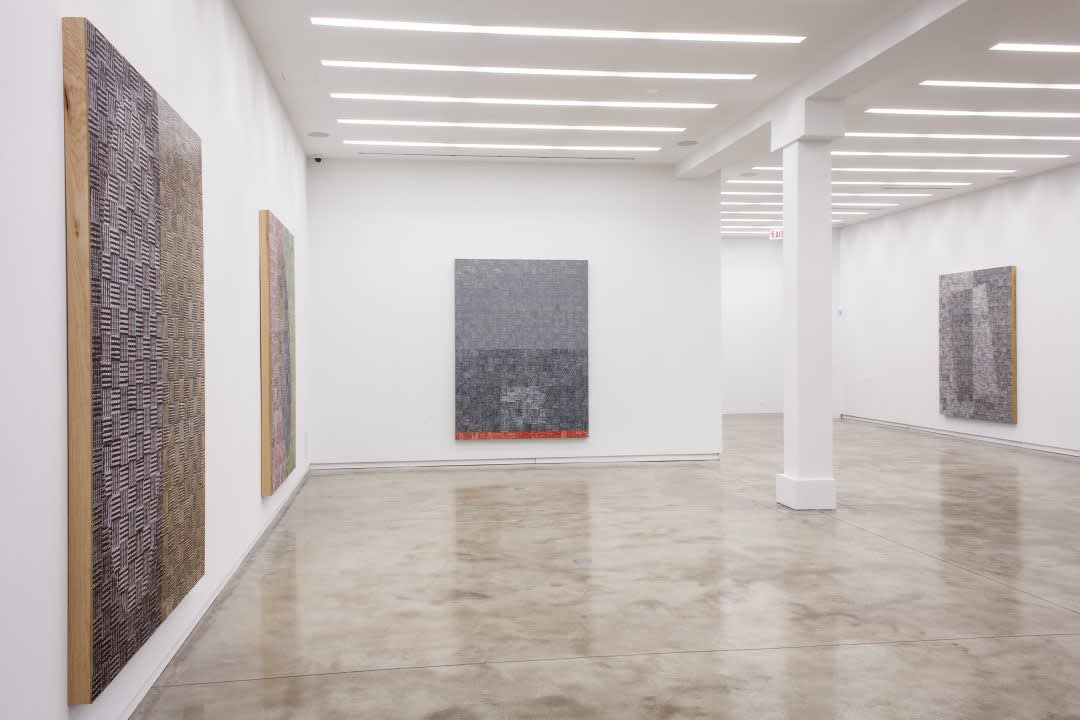 McArthur Binion, DNA Study