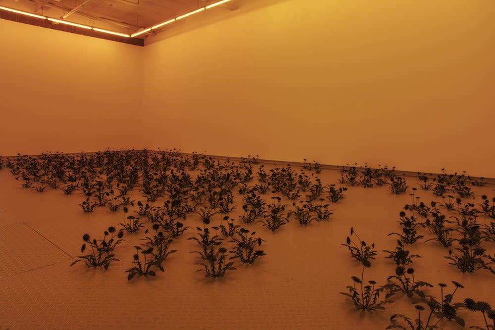 Esmaa Mohamoud: IT CANNOT ALWAYS BE NIGHT