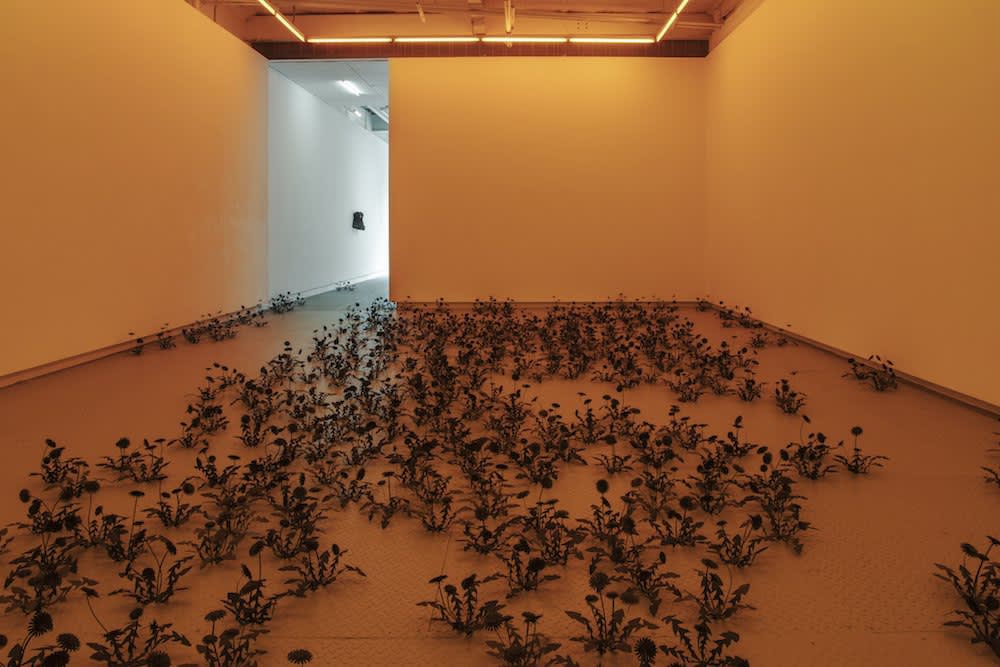 Esmaa Mohamoud: IT CANNOT ALWAYS BE NIGHT