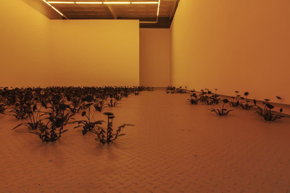 Esmaa Mohamoud: IT CANNOT ALWAYS BE NIGHT