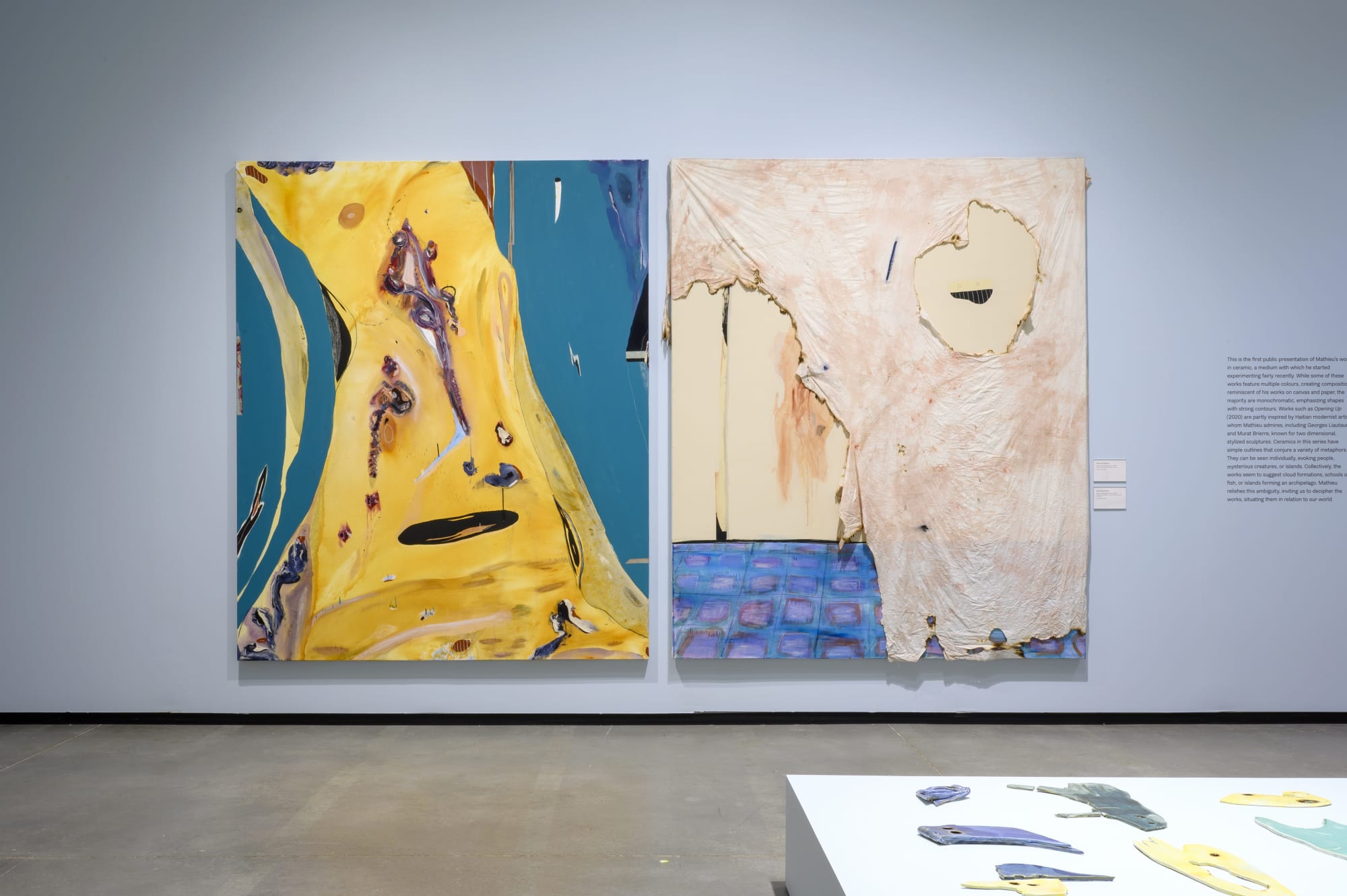 Manuel Mathieu: World Discovered Under Other Skies