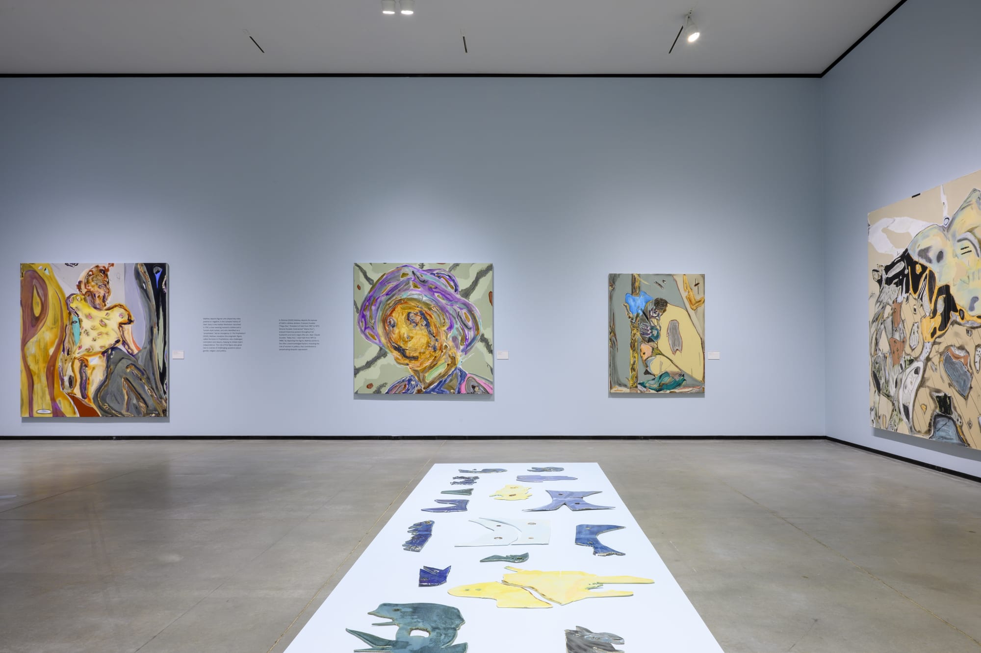 Manuel Mathieu: World Discovered Under Other Skies