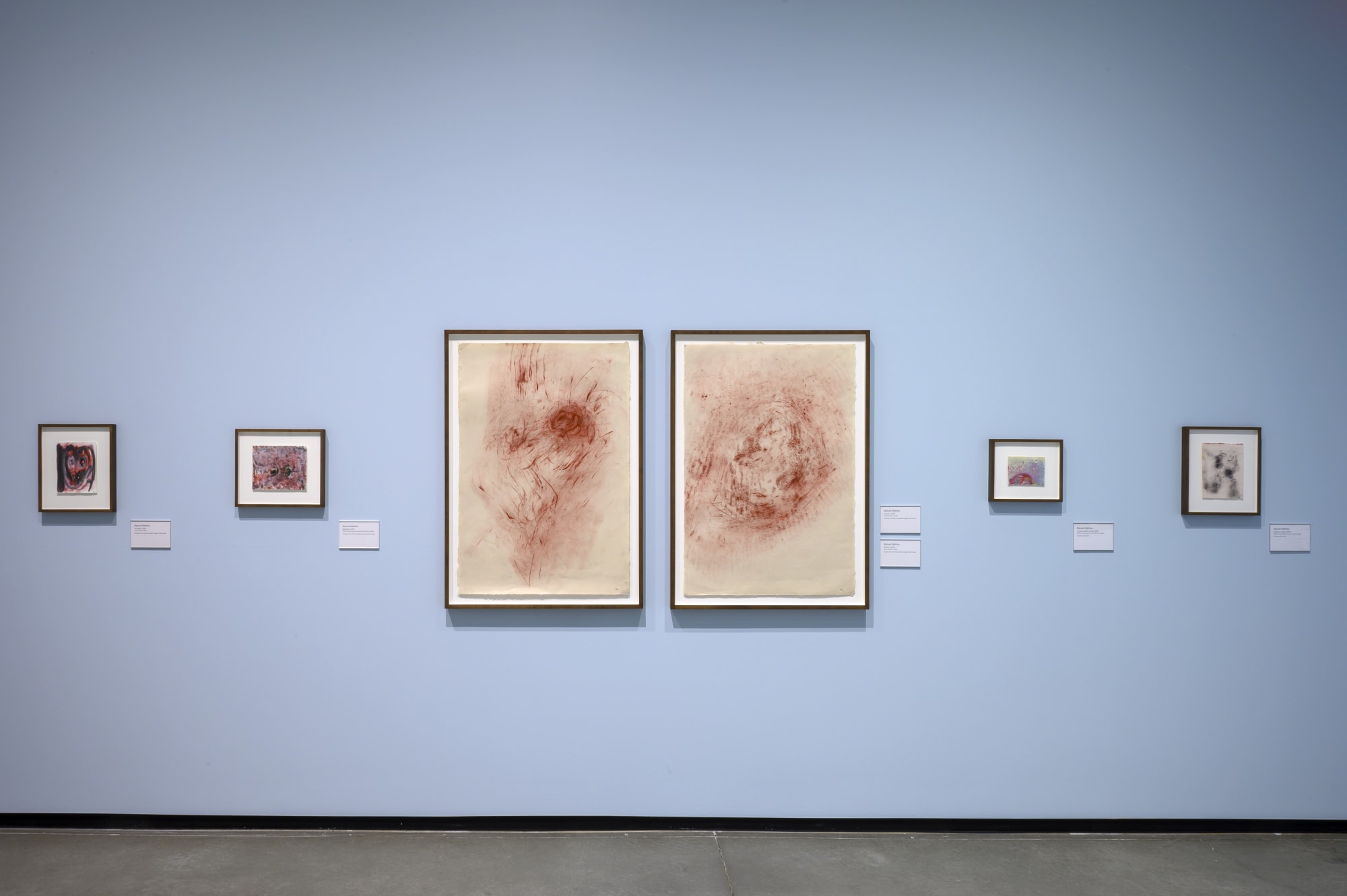 Manuel Mathieu: World Discovered Under Other Skies