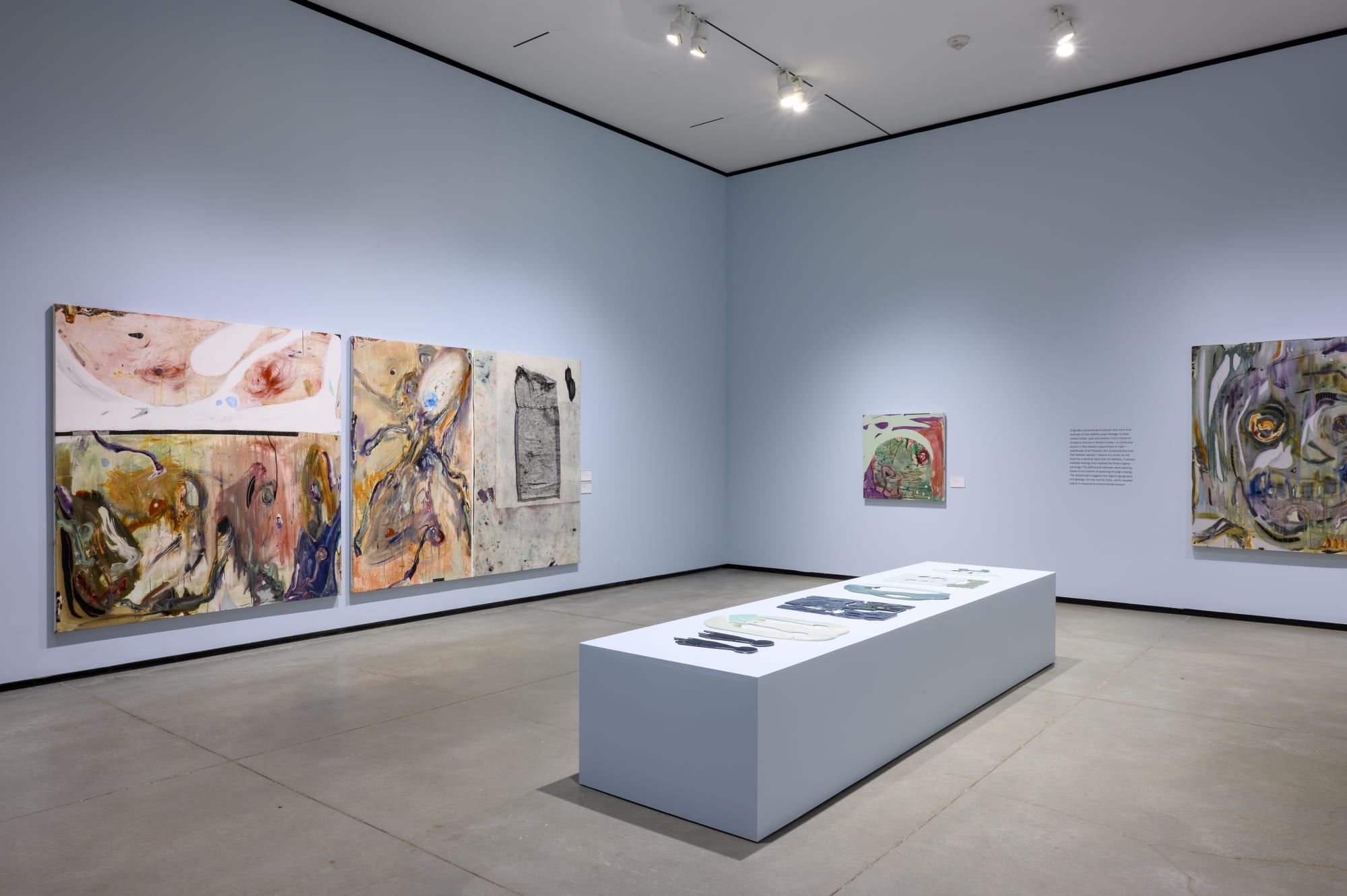 Manuel Mathieu: World Discovered Under Other Skies