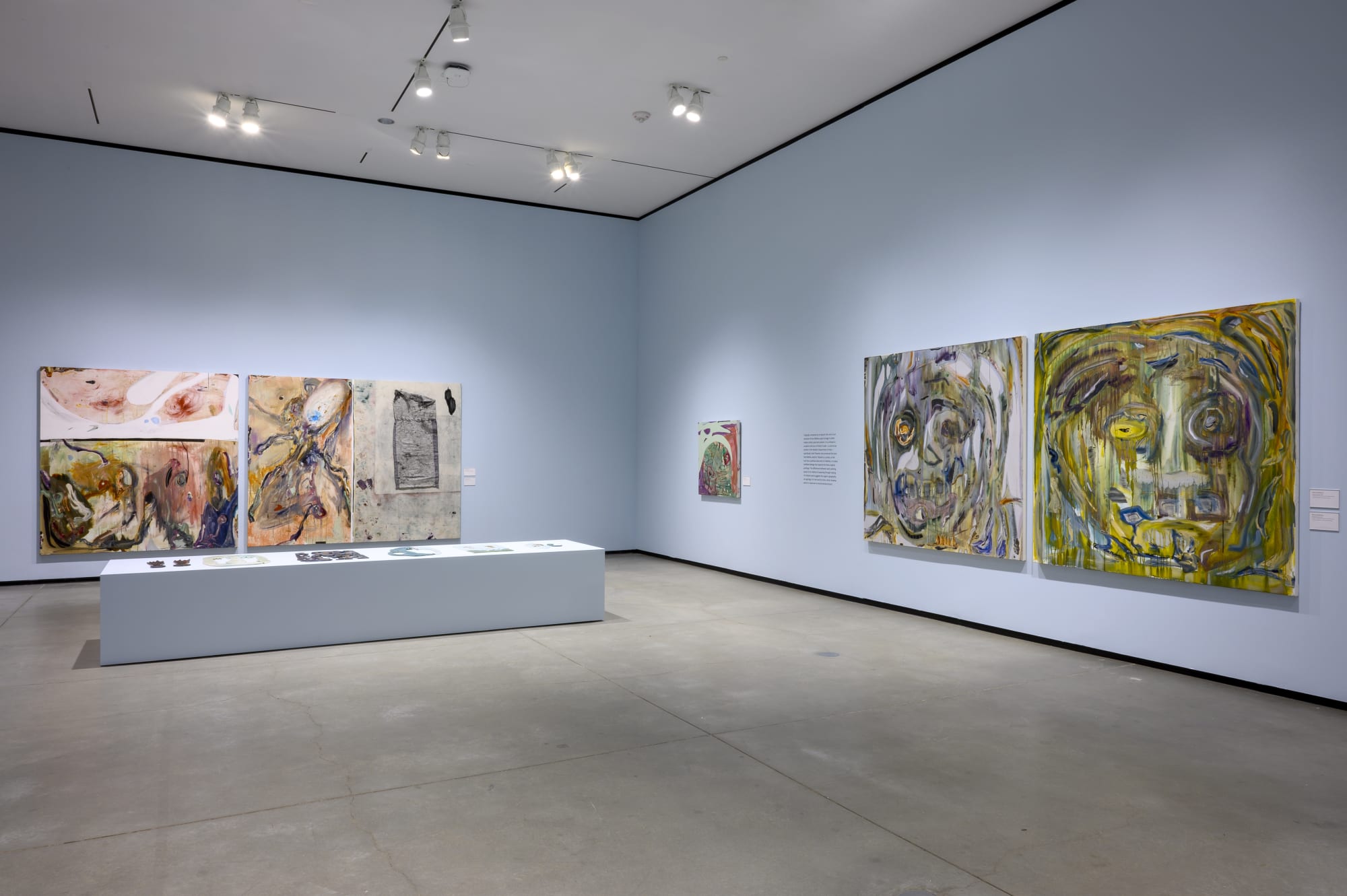 Manuel Mathieu: World Discovered Under Other Skies