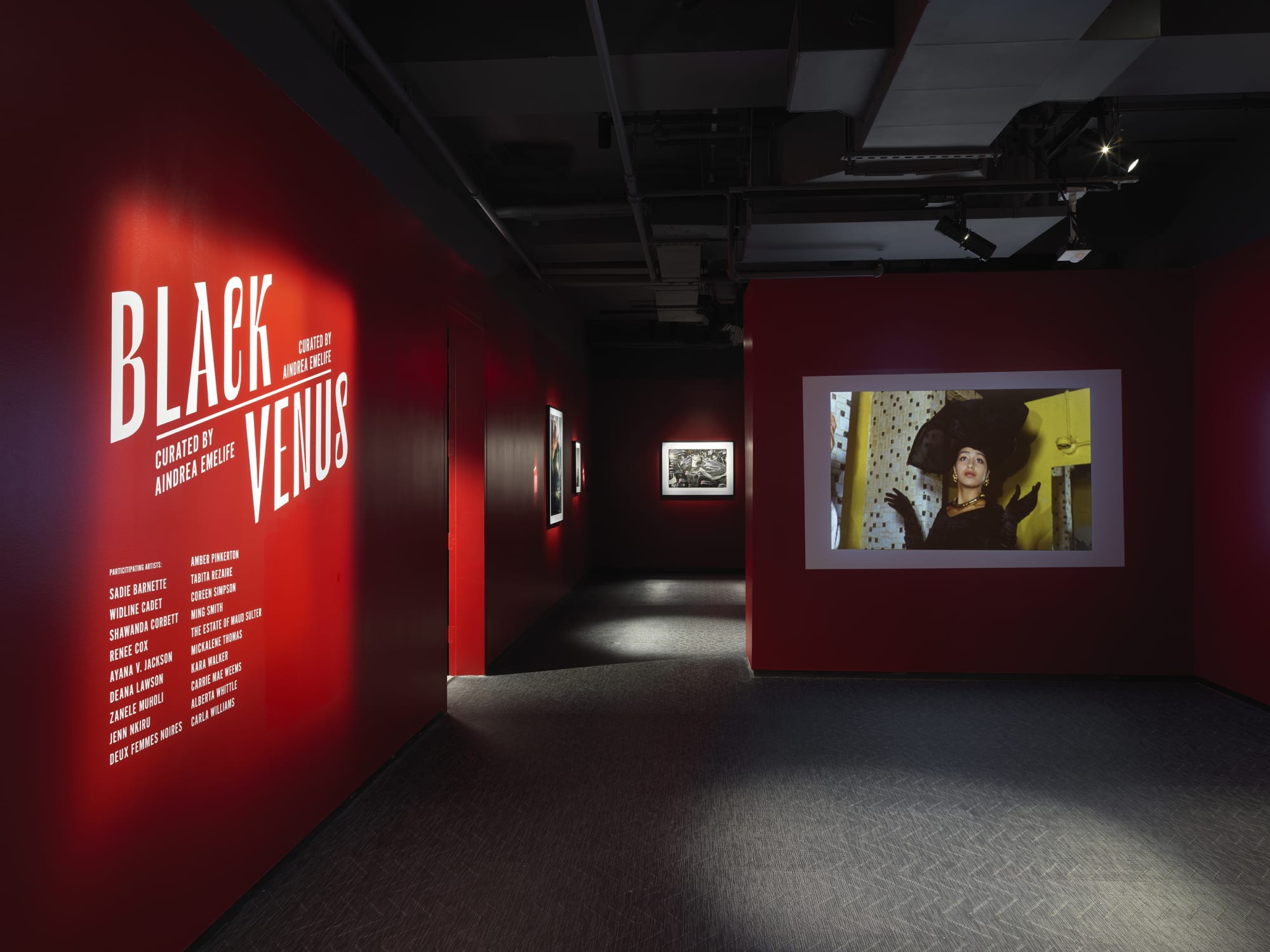 Mickalene Thomas: BLACK VENUS Curated by Aindrea Emelife