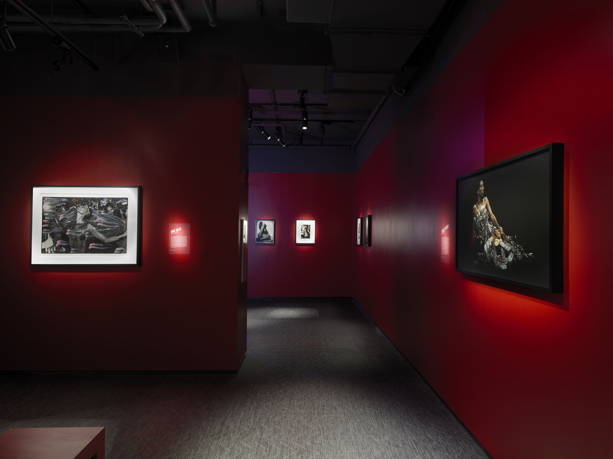 Mickalene Thomas: BLACK VENUS Curated by Aindrea Emelife