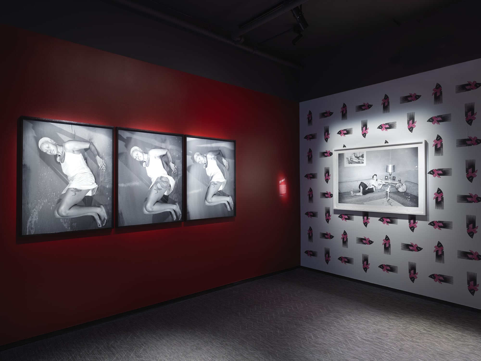 Mickalene Thomas: BLACK VENUS Curated by Aindrea Emelife